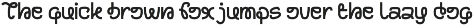 Funhome - Modern Loopy Logo Sans font preview