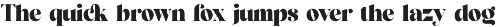 Caffin Elegant Serif Font preview