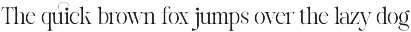 Reichamerina font family preview