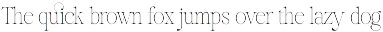 Reichamerina font family preview