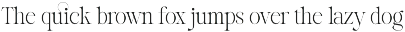Reichamerina font family preview