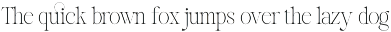 Reichamerina font family preview