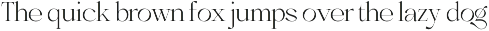 Reglani - Elegant Minimalist Serif preview