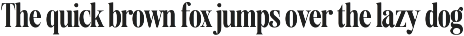 Agency Vinatge Serif Display preview