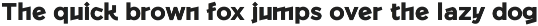 Ryyyki | Angular Sans Serif Font preview