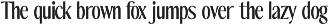 The Reading Wogue | 15 Font Files preview