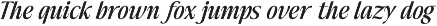 The Reading Wogue | 15 Font Files preview