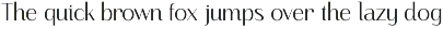 Finico Sans – Modern Editorial Sans preview