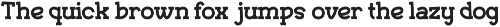 Haluna - Playful Slab Serif preview