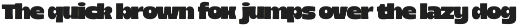 Rotio - Bold Font preview