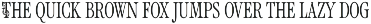 Royal Garden - Swirly Victorian Font preview