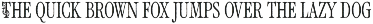 Royal Garden - Swirly Victorian Font preview