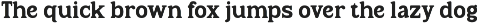 Rootle - Old Elegant Serif preview