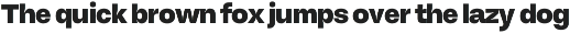 Makira - Sans Serif Family preview