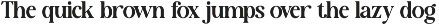 New Shuffle - Modern Serif Family Fo preview