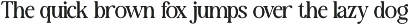 New Shuffle - Modern Serif Family Fo preview