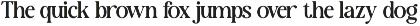 New Shuffle - Modern Serif Family Fo preview