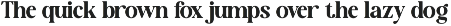 New Shuffle - Modern Serif Family Fo preview