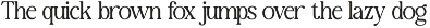 New Shuffle - Modern Serif Family Fo preview