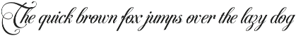 Roselune Scriptoria - Script Font preview