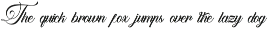 Aurelaydi | Elegant Calligraphy preview