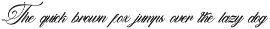 Aurelaydi | Elegant Calligraphy preview
