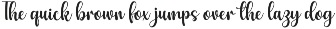 Stylish Handwriting - Font Duo preview