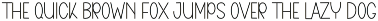 Chunky preview