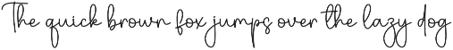 Southine | Script Font preview