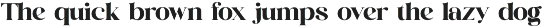 Milgn Elegant Serif Font preview