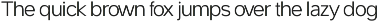 Swinston Sans Variable Typeface preview
