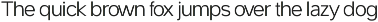 Swinston Sans Variable Typeface preview