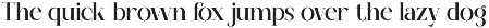 Maglenz - Serif Family Font preview