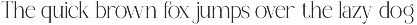 Maglenz - Serif Family Font preview