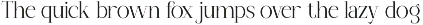 Maglenz - Serif Family Font preview