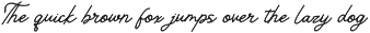 Lubiedo | Monoline Script preview