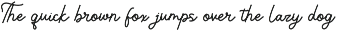 Lubiedo | Monoline Script preview