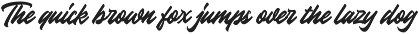 NZN Magnusa - Bold Script Font preview