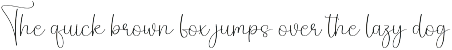 Spooky Vintage | Script Font preview