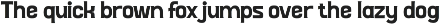 Riotman - Serif Display Font preview