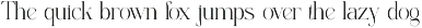 The Larove - Modern Elegant Serif preview