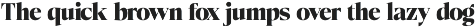 Eightly Teenage - Family Serif preview
