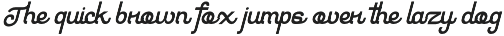 Nerva– Modern Mixed Style Typeface preview