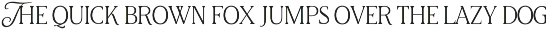 Aether Multi-Style Serif preview