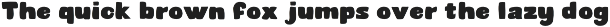 Fortuna Absolute preview