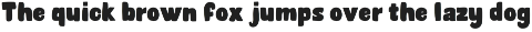 Fortuna Absolute preview
