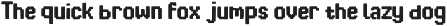 Buneti – Elegant Display Serif for L preview