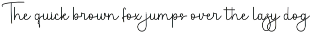 Delight Calligraphy preview