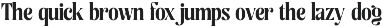 Young Modern Serif Font preview