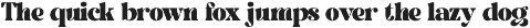 Starley - Retro Serif preview